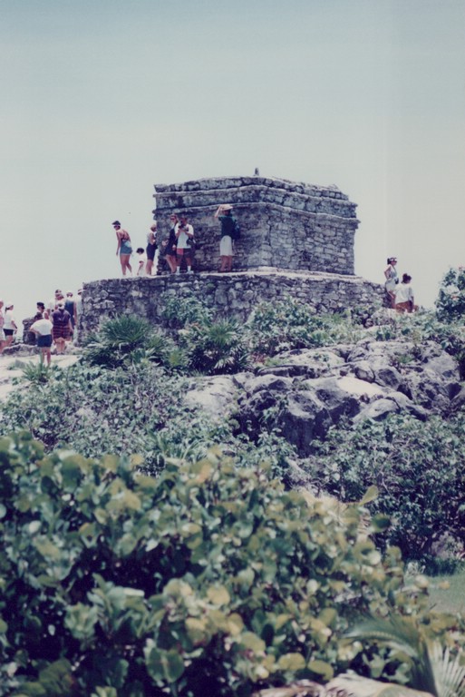 FastFoto_0009_a.jpg