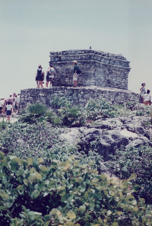 FastFoto_0015_a.jpg