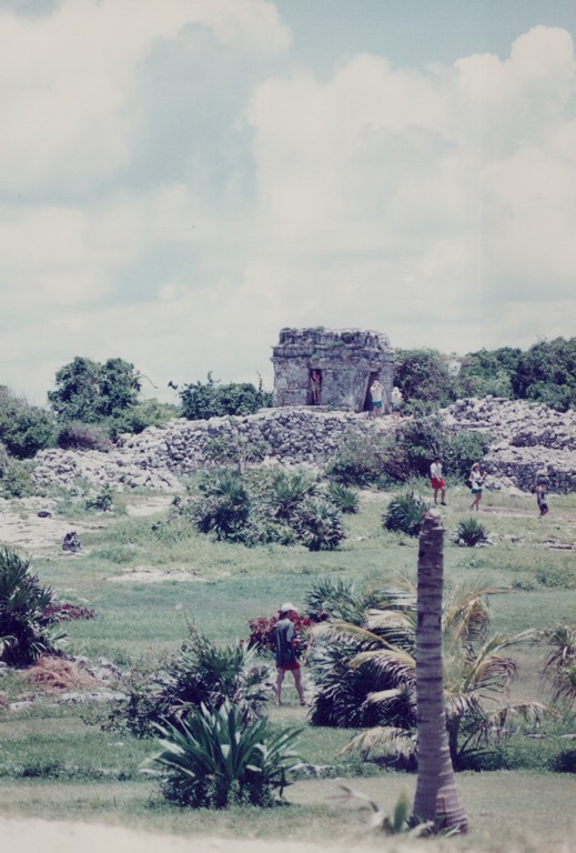 FastFoto_0016_a.jpg