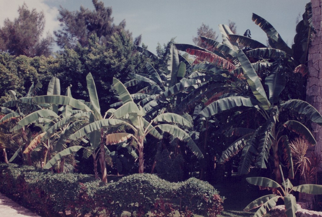 FastFoto_0044_a.jpg