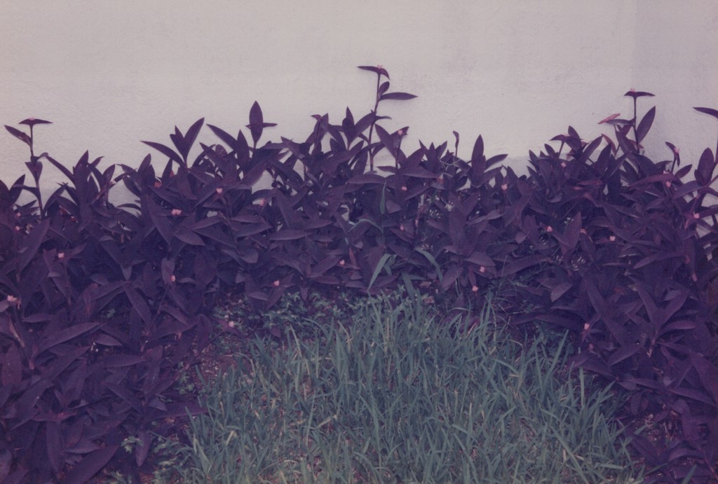 FastFoto_0045_a.jpg