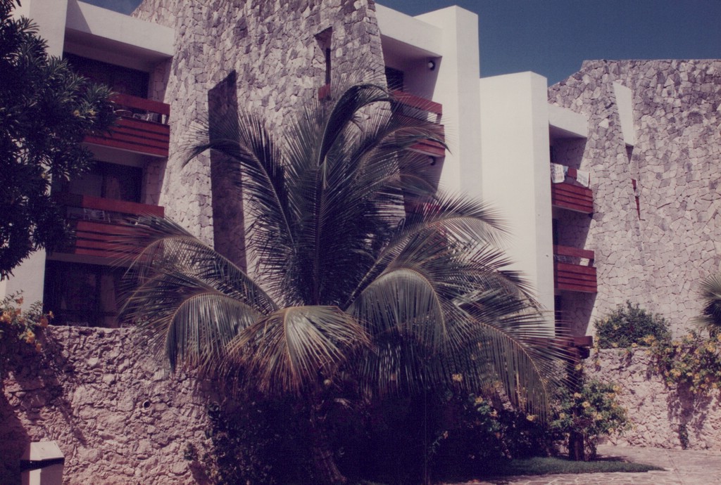 FastFoto_0049_a.jpg