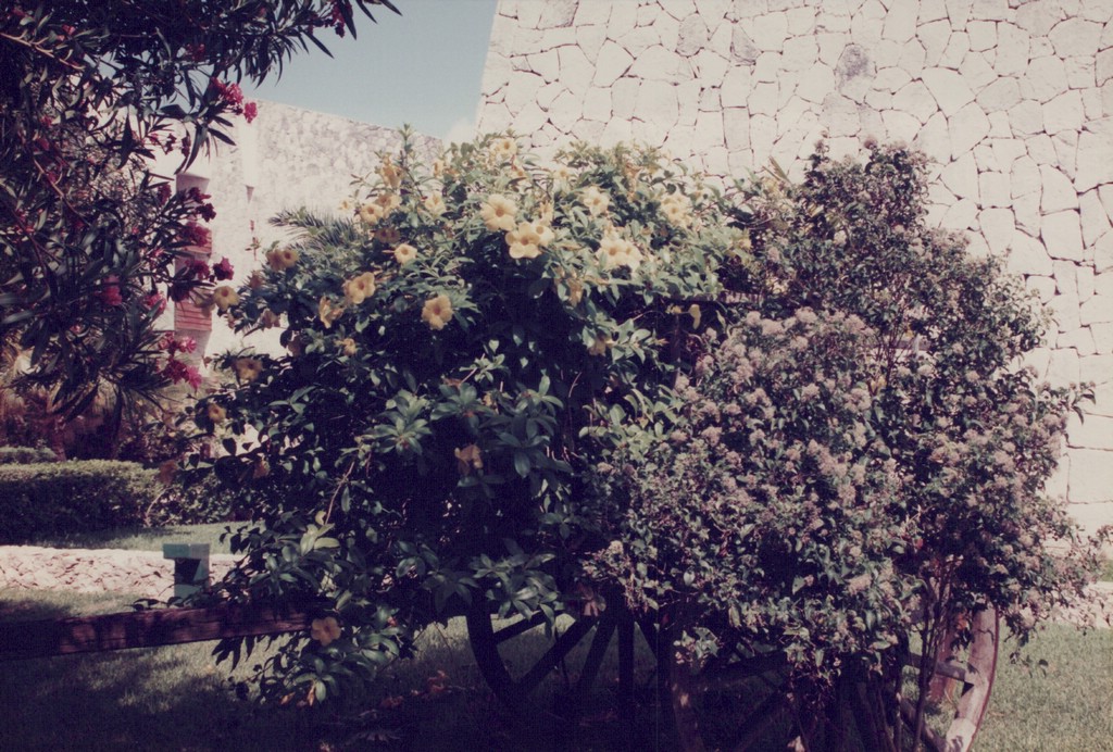 FastFoto_0050_a.jpg