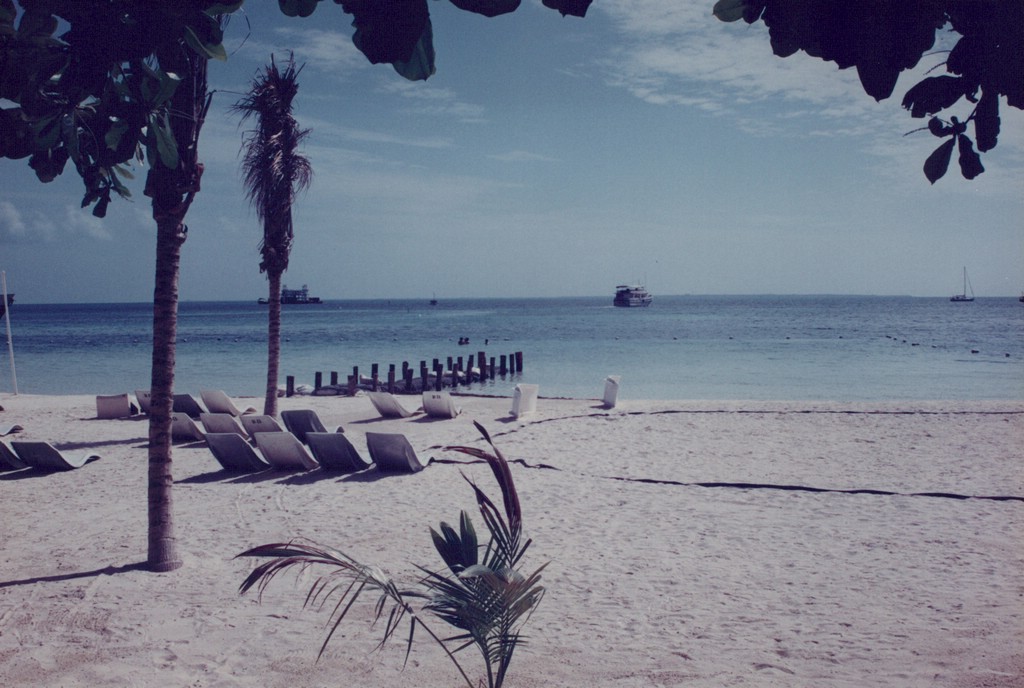 FastFoto_0054_a.jpg