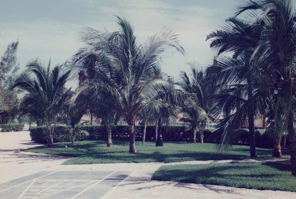FastFoto_0056_a.jpg