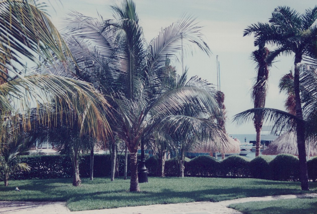 FastFoto_0058_a.jpg