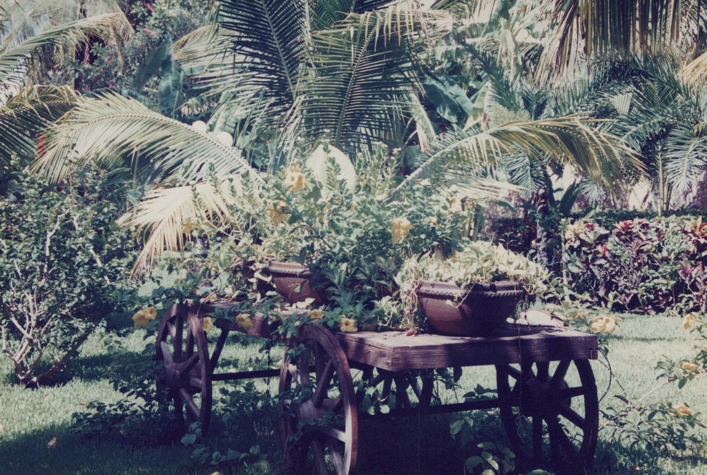 FastFoto_0081_a.jpg