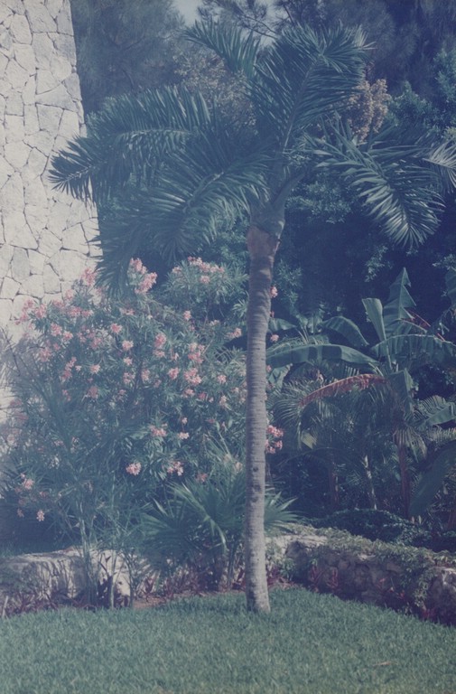 FastFoto_0085_a.jpg