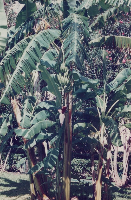 FastFoto_0087_a.jpg