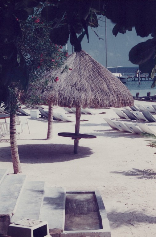 FastFoto_0089_a.jpg