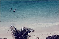 FastFoto_0005_a.jpg