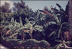 FastFoto_0044_a.jpg