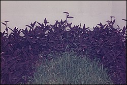 FastFoto_0045_a.jpg