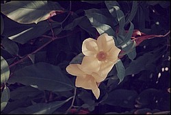 FastFoto_0047_a.jpg