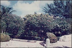 FastFoto_0052_a.jpg