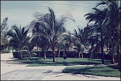 FastFoto_0056_a.jpg