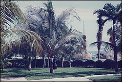 FastFoto_0058_a.jpg