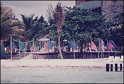 FastFoto_0076_a.jpg
