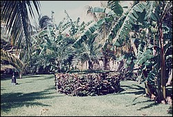 FastFoto_0080_a.jpg