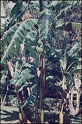 FastFoto_0087_a.jpg