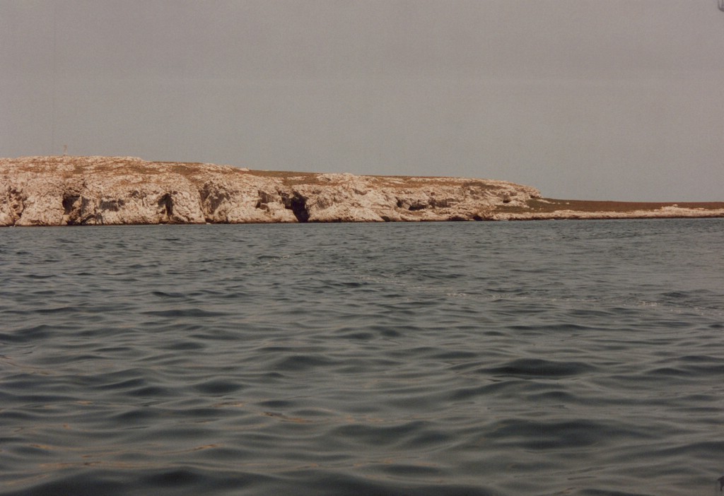 FastFoto_0117_a.jpg