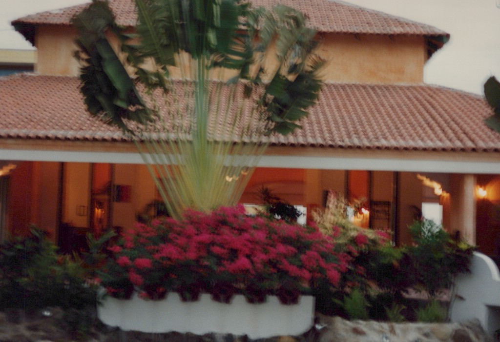 FastFoto_0118_a.jpg