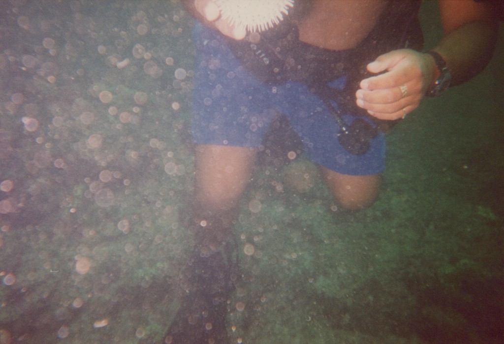 FastFoto_0193_a.jpg
