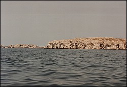 FastFoto_0095_a.jpg
