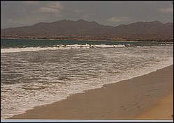 FastFoto_0100_a.jpg