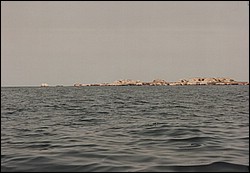 FastFoto_0116_a.jpg