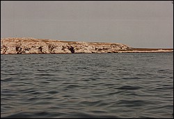 FastFoto_0117_a.jpg