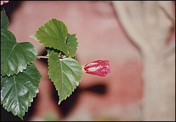 FastFoto_0139_a.jpg
