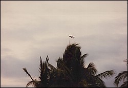 FastFoto_0141_a.jpg