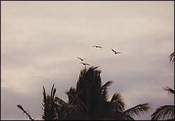 FastFoto_0142_a.jpg