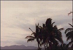 FastFoto_0143_a.jpg
