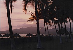 FastFoto_0154_a.jpg