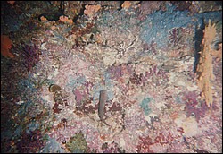FastFoto_0181_a.jpg