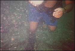 FastFoto_0193_a.jpg