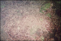 FastFoto_0195_a.jpg