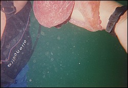 FastFoto_0207_a.jpg