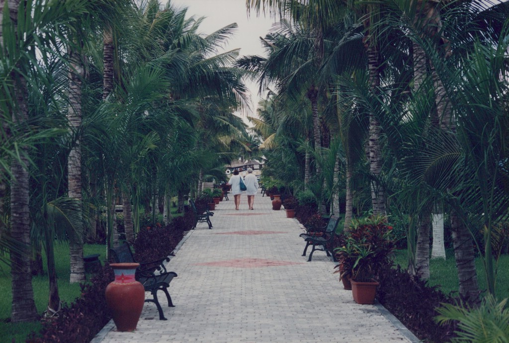 1FastFoto_0320_a.jpg