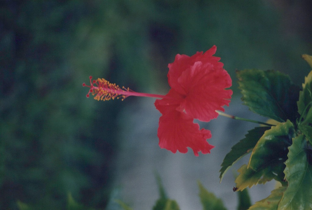 1FastFoto_0329_a.jpg