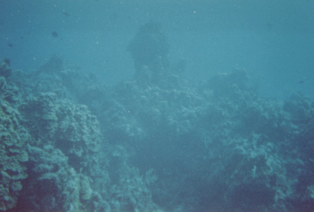 FastFoto_0239_a.jpg