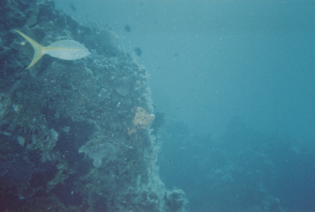 FastFoto_0243_a.jpg