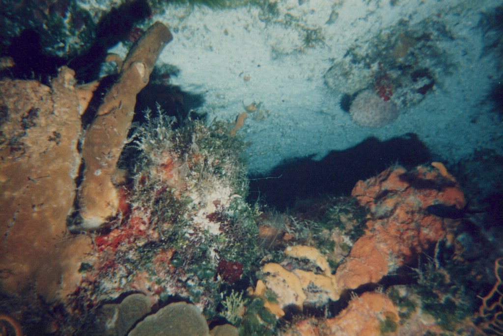 FastFoto_0250_a.jpg