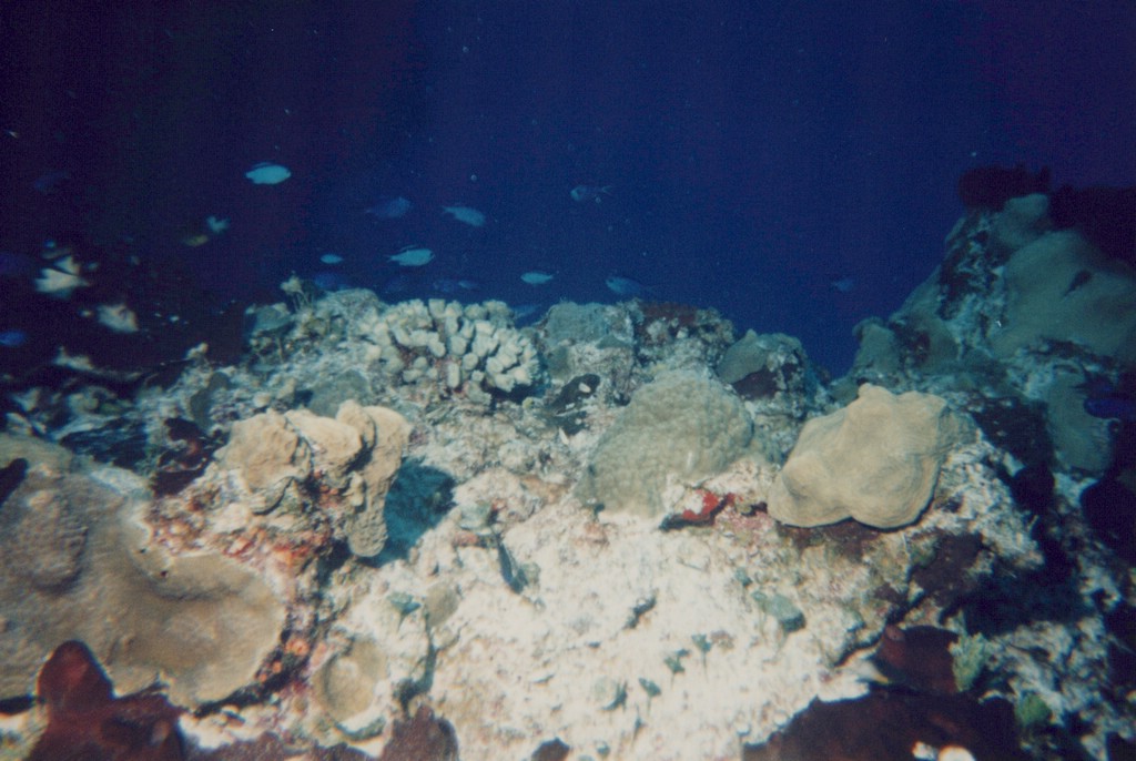 FastFoto_0259_a.jpg