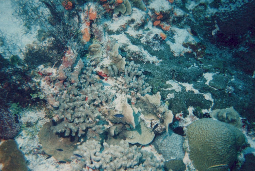 FastFoto_0268_a.jpg