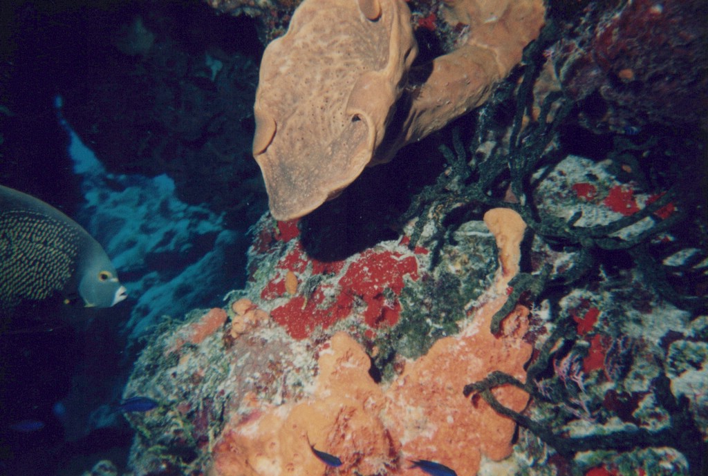 FastFoto_0270_a.jpg