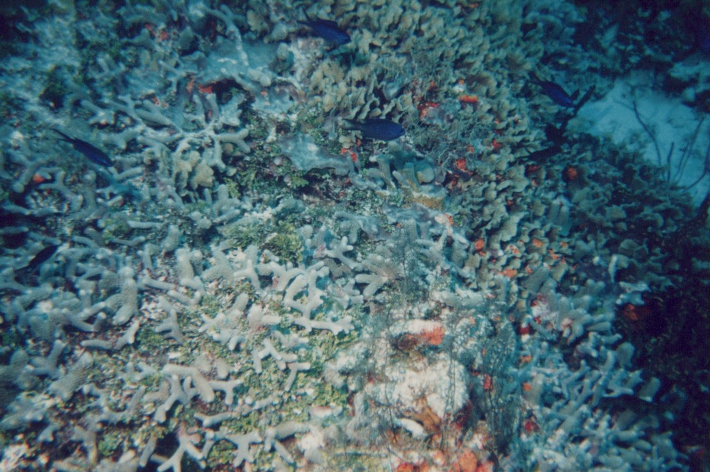 FastFoto_0272_a.jpg
