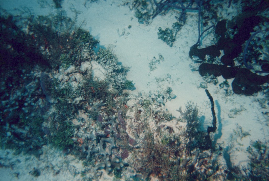 FastFoto_0274_a.jpg